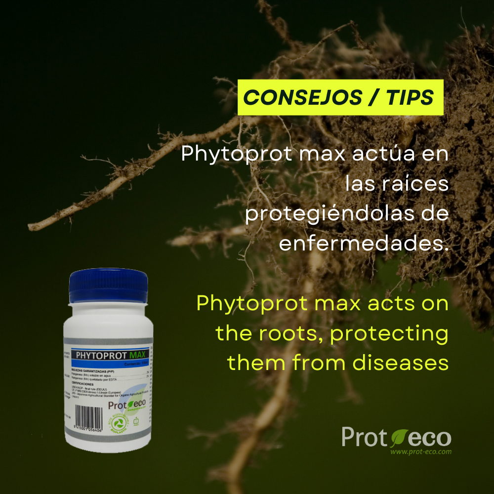 Phytoprot Max 100 ml – Prot-eco- Protección Radicular Ecológica Y Enraizamiento Vigoroso