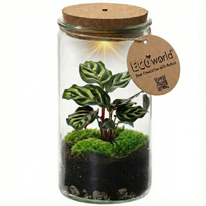 Mini Terrario De Plantas Ø11 Cm - Ecosistema Cerrado En Cristal_0