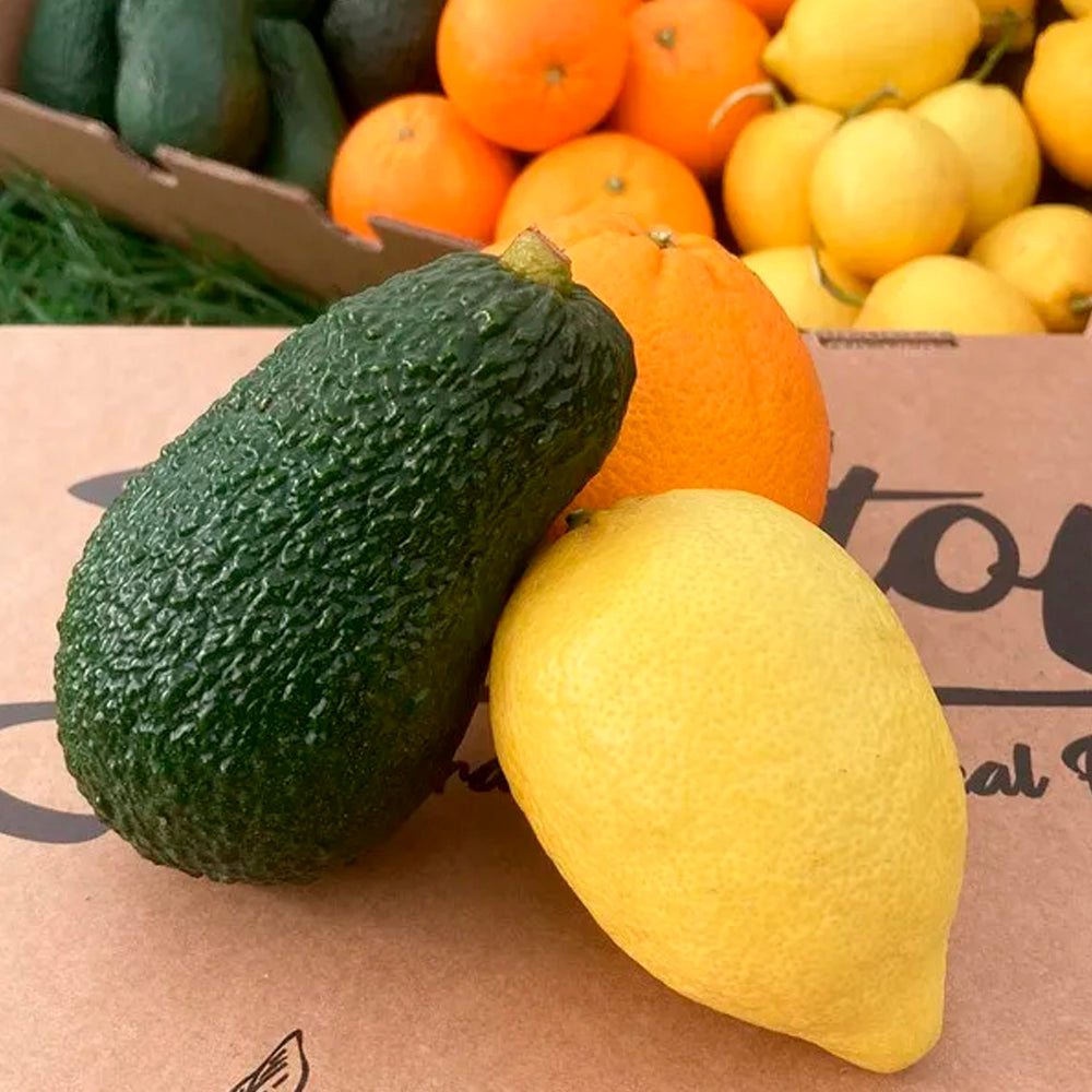 Caja 6kg Aguacates Hass, Naranjas Y Limones Directo Del Campo Tropitop (2kg De Cada Fruta)_4