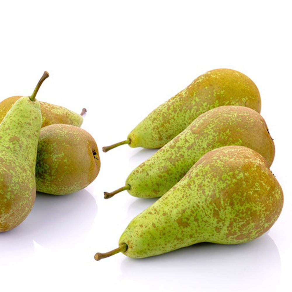 Pera Conferencia Del Bierzo. Grande. Caja 10 Kg