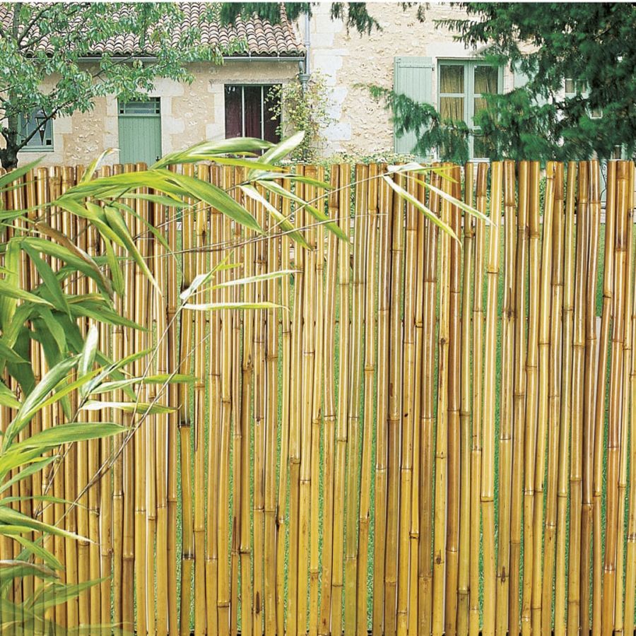 Cañizo Entero Barnizado Bambooflex 1,5x3 M Nortene_2