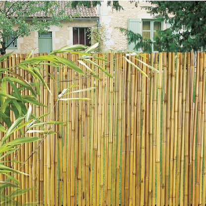Cañizo Entero Barnizado Bambooflex 1,5x3 M Nortene_2