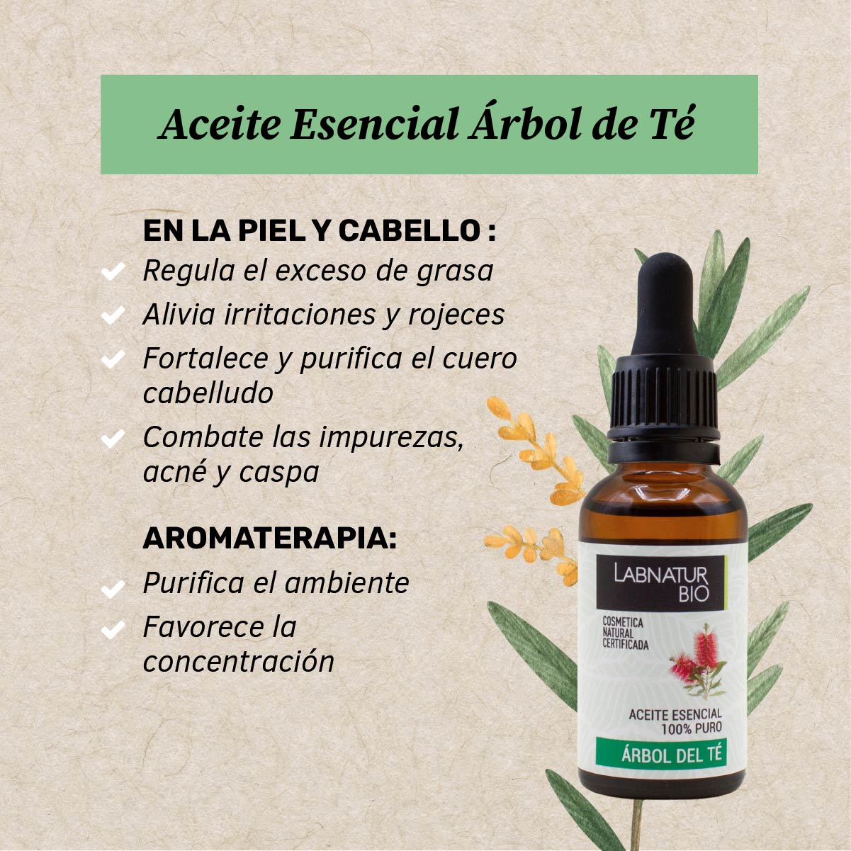 Aceite de Árbol Del Té 100% Puro | Antibacteriano Natural | Purificante Piel y Cuero Cabelludo | Uso Facial y Capilar_1