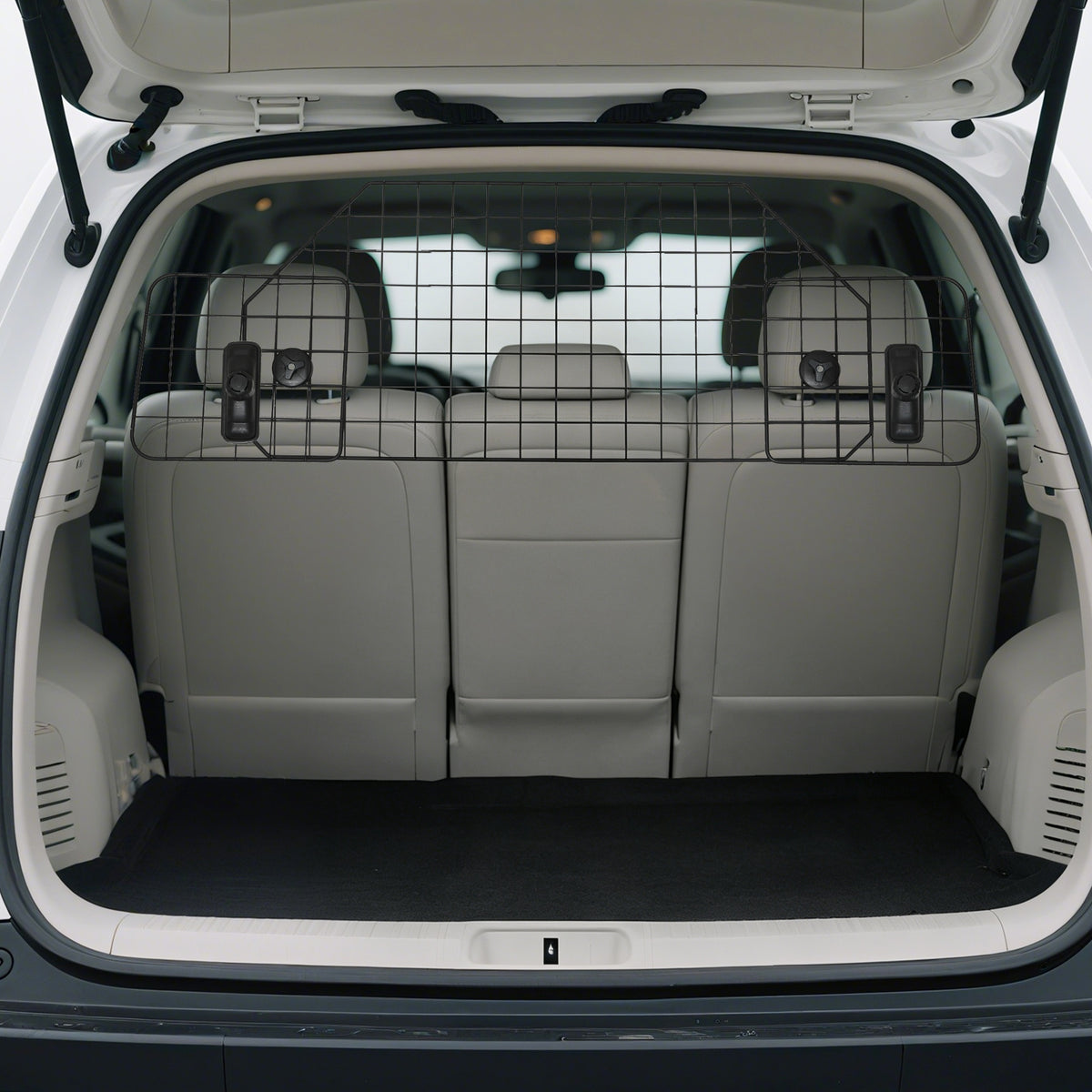 Pawhut Rejilla Seguridad De Coche Para Perros Extensible Universal 90-120x40,5cm_1