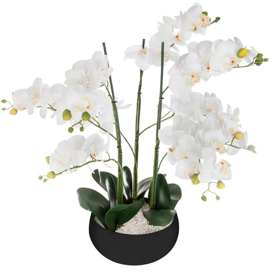 Orquídea Olla Cerámica Negro H65_0