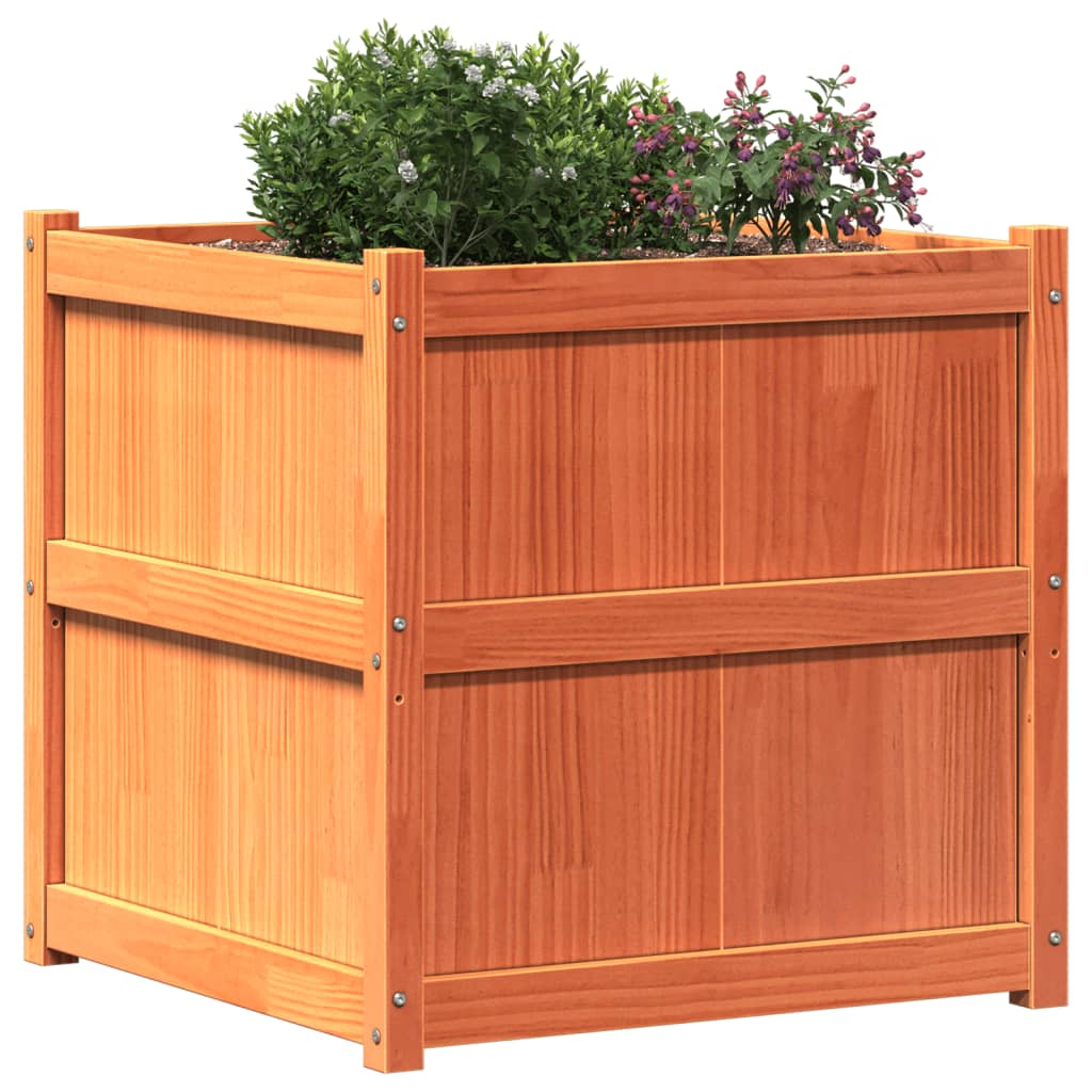 Jardinera Exterior Madera Maciza Pino Marrón Cera 70x70x70 Cm_3