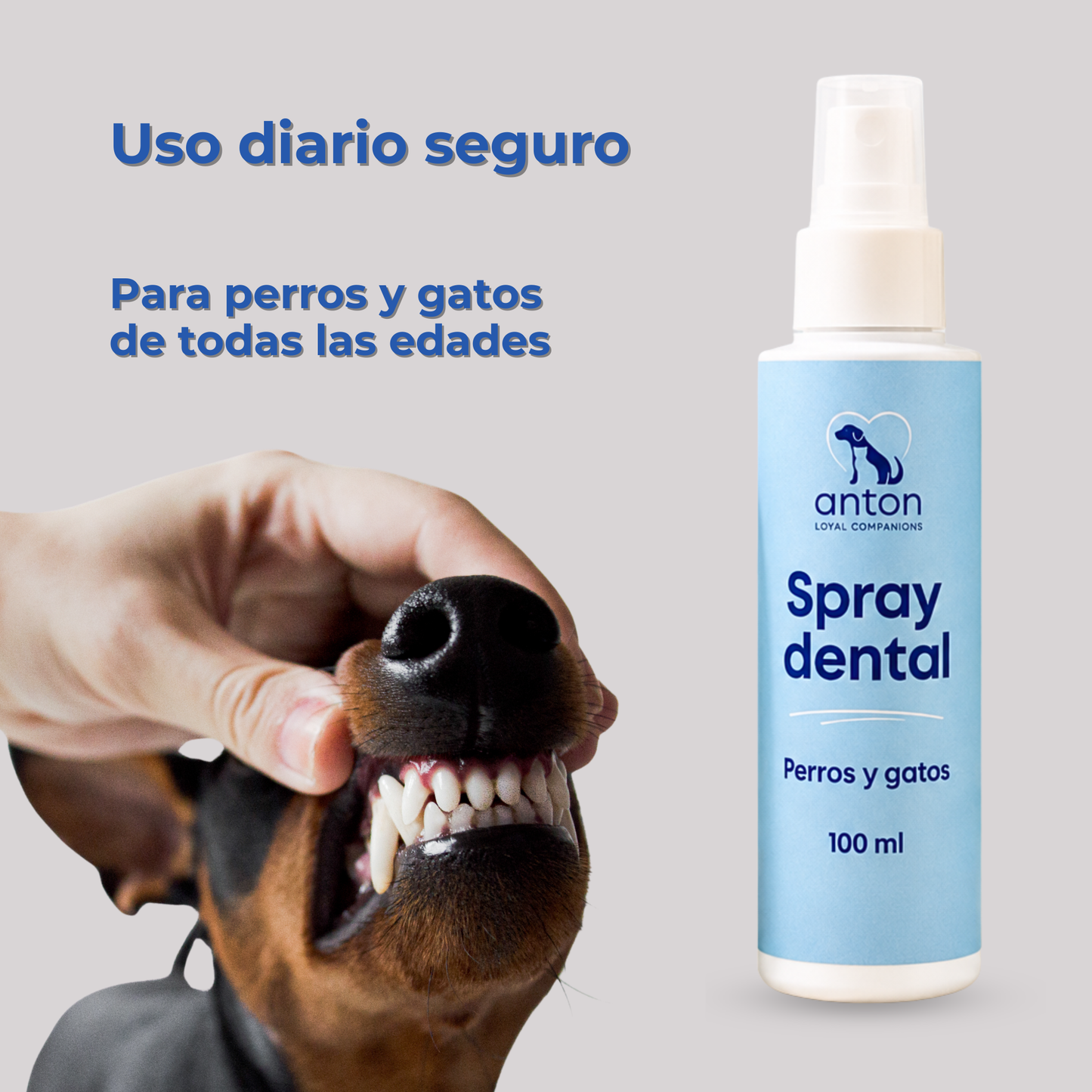 Spray dental natural para la higiene bucal diaria de perros y gatos – 100 ml_4