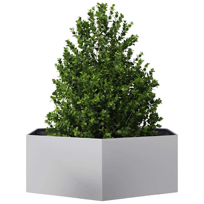 Jardinera Hexagonal Acero Galvanizado 138x120x45 Cm_2