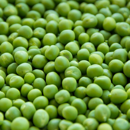 Plantón Guisante Mata Baja 4 Unidades - PlantaBo_1