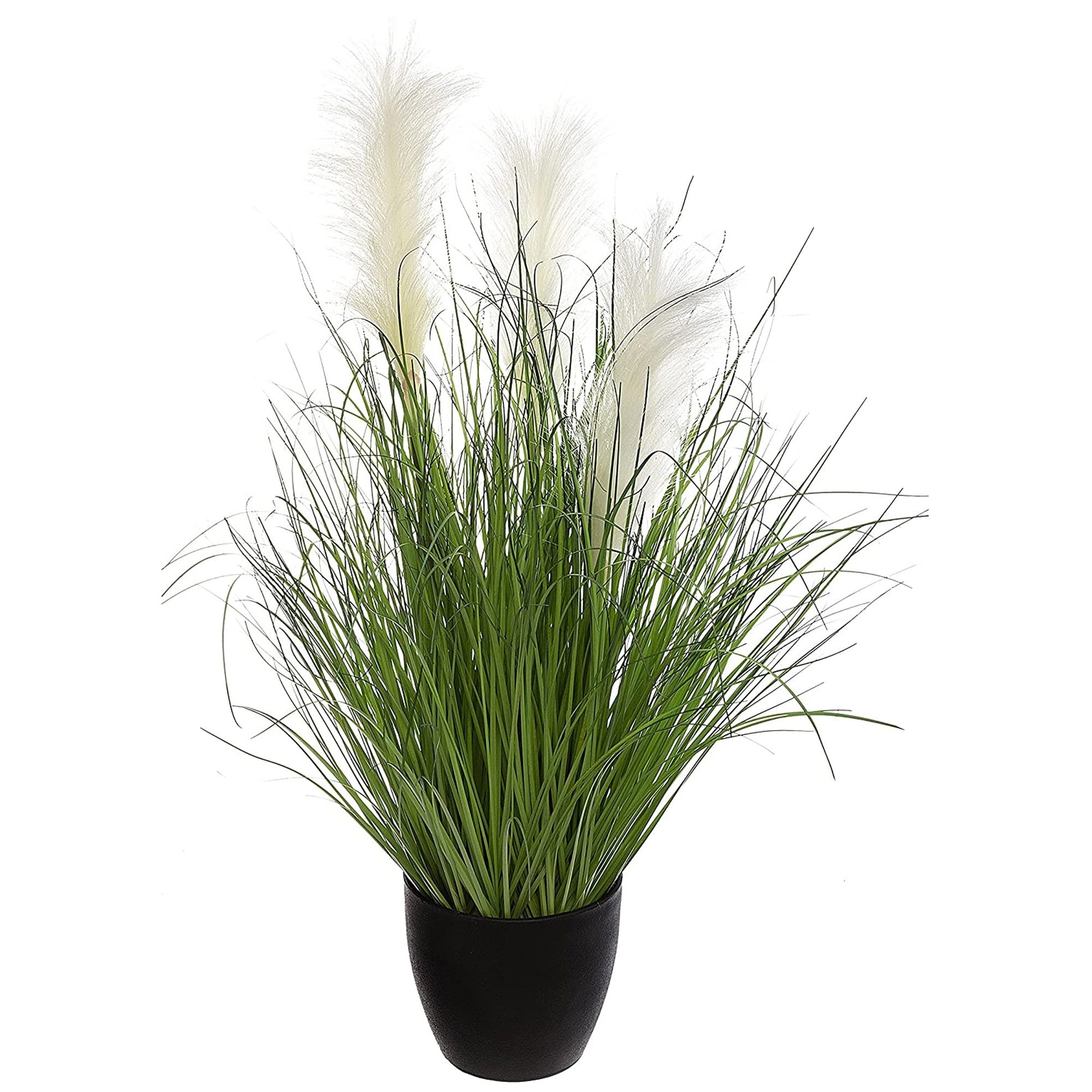 Ramo De Hierba En Maceta De Plástico