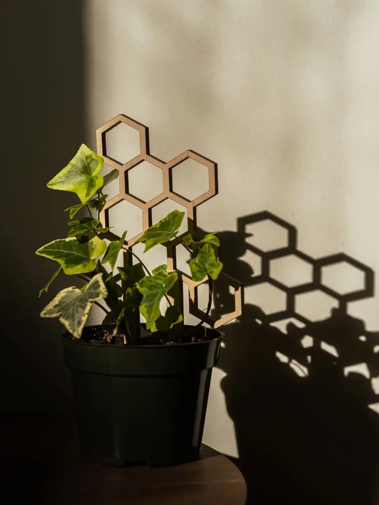 Tutor Nido De Abeja #3