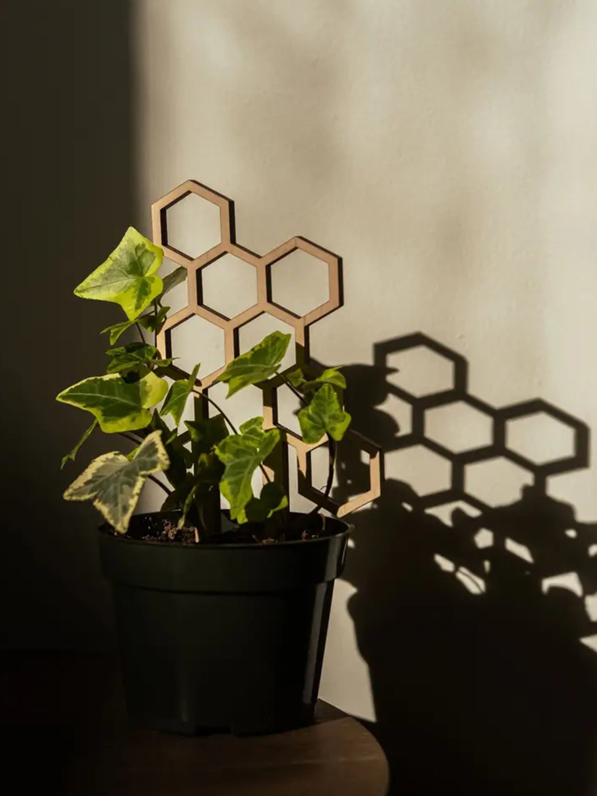 Tutor Nido De Abeja #3