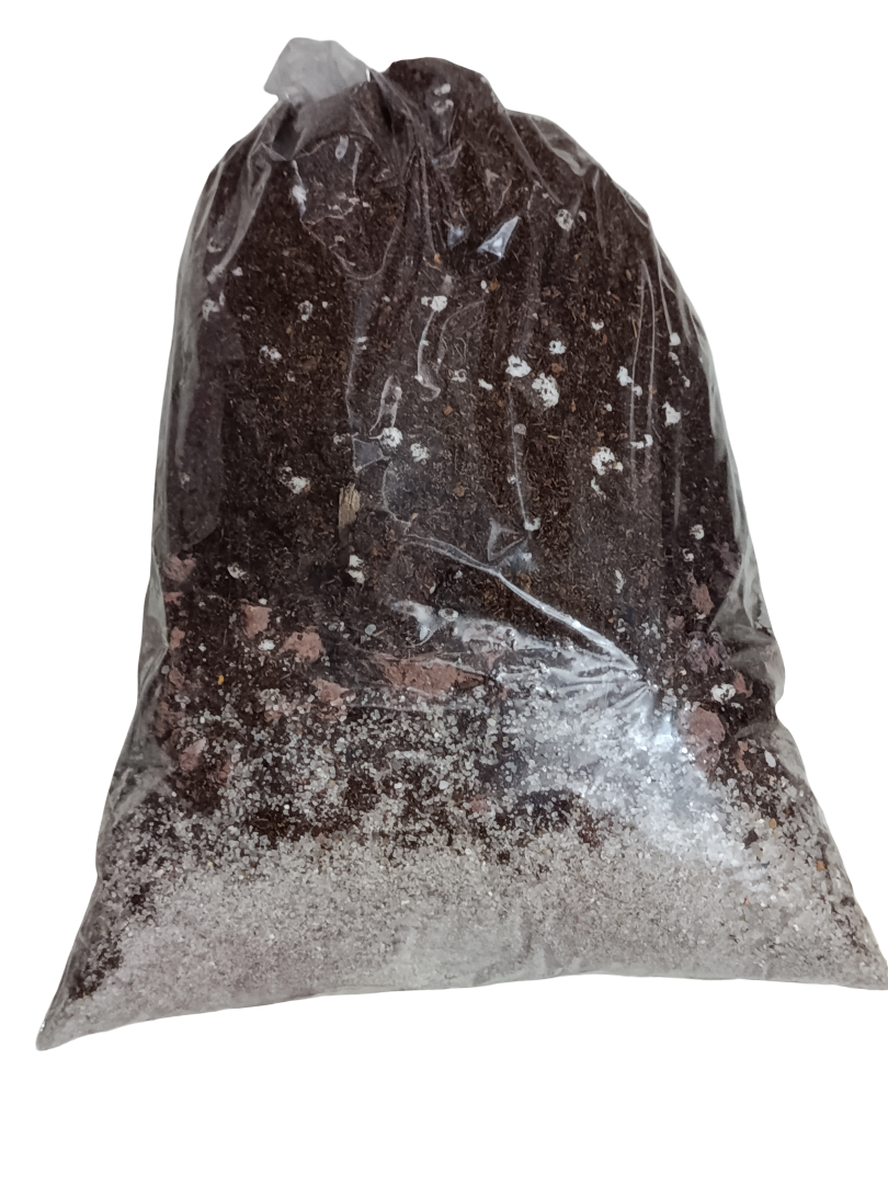 Sustrato Para Cactus Y Suculentas 1 Litro_0