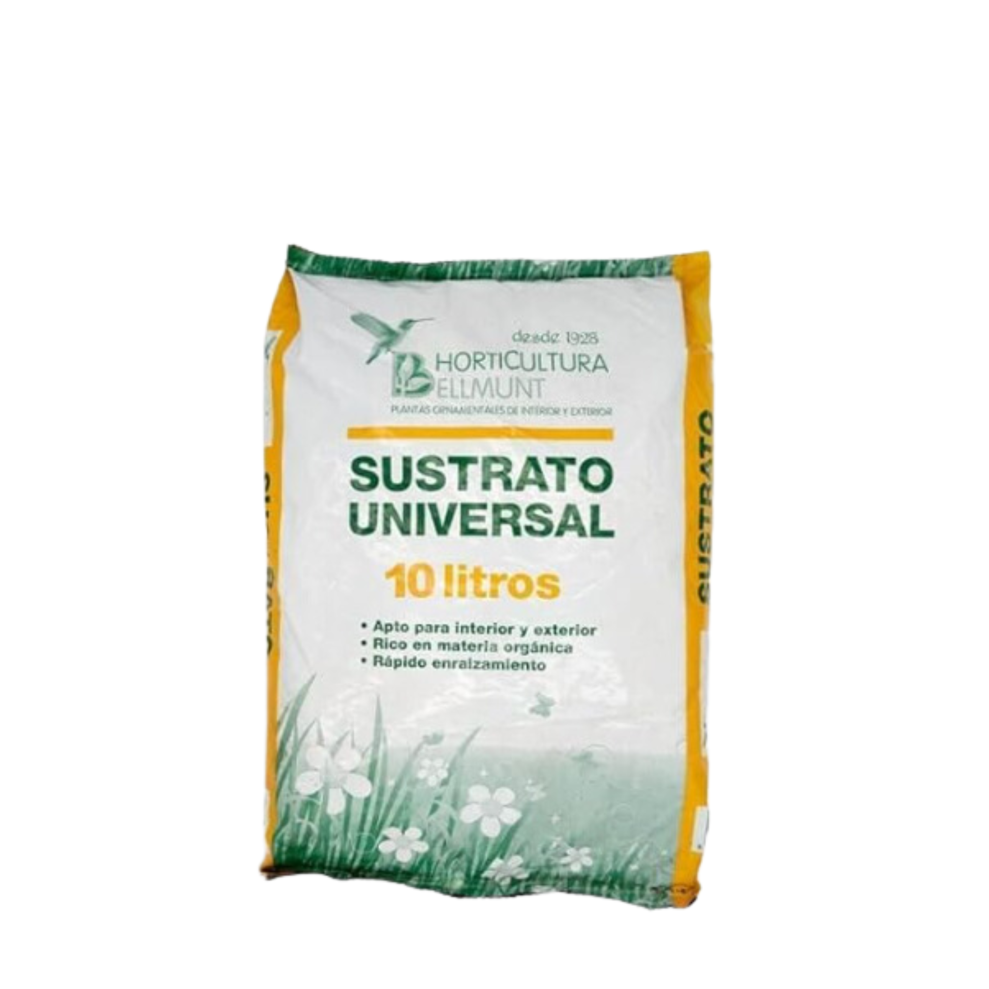 Pack 2 Plantas Sansevieria  Interior  Maceta Ø12cm  + Incluye Saco 10l Sustrato Universal + Fertilizante Plantas 500 Ml_1