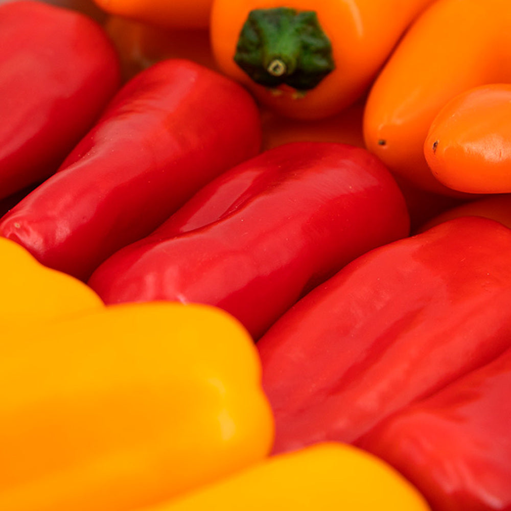 Minipimientos Tribelli 600gramos Granada La Palma_5