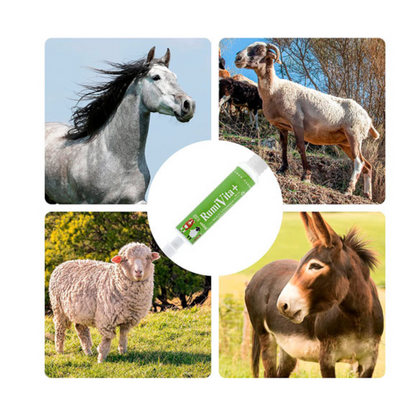 RumiVita – Complemento nutricional en pasta para cabras y ovejas – Apoyo vitamínico-mineral – Formato jeringa oral 30 ml_1