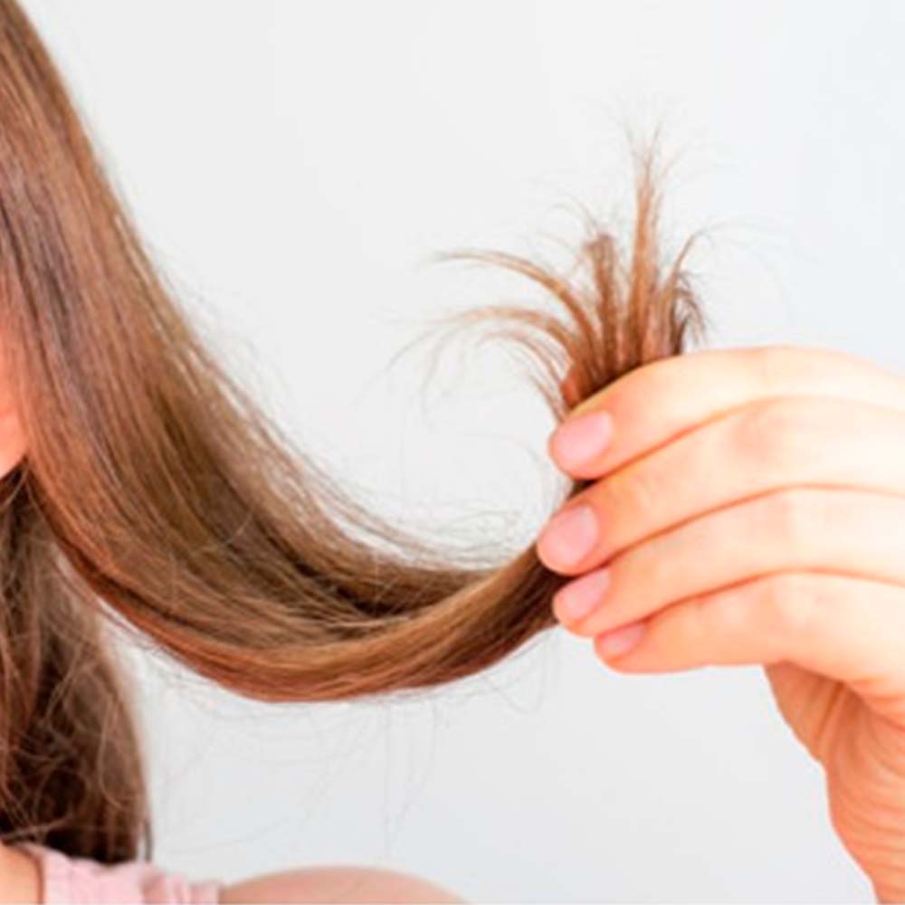Pack 4 Champú Sólido para Cabello Fino - 100% Natural - Aporta Volumen, Brillo y Suavidad - Con Manteca y Polvo de Cacao_1