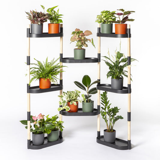 Soporte Modular Citysens De 8 Bandejas – Negro, Polipropileno 100% Reciclado Y Madera Ecológica Pefc_0