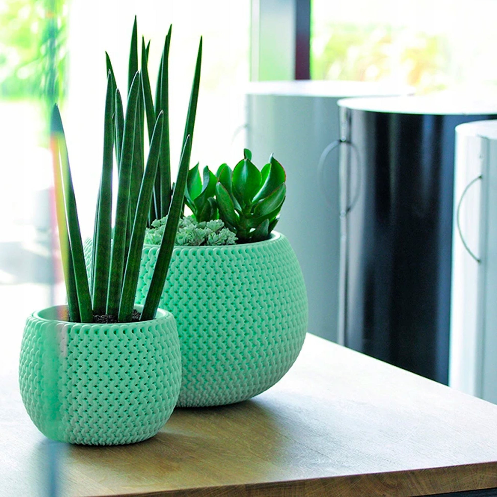 Maceta Redonda Con Deposito Splofy Bowl De Plastico En Color Melocoton 29 (largo) X 29 (ancho) X 19 (altura) Cm_4