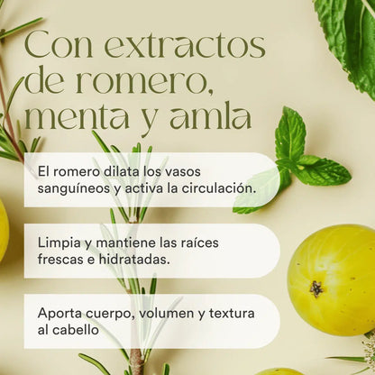QKnatur - Champú Con Extracto De Romero 250 ml. Con Activos Para Fortalecer Y Reparar. Cabello Fino O Dañado_2