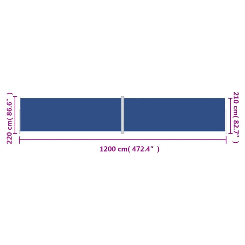 Vidaxl Toldo Lateral Retráctil Azul 220x1200 Cm_2
