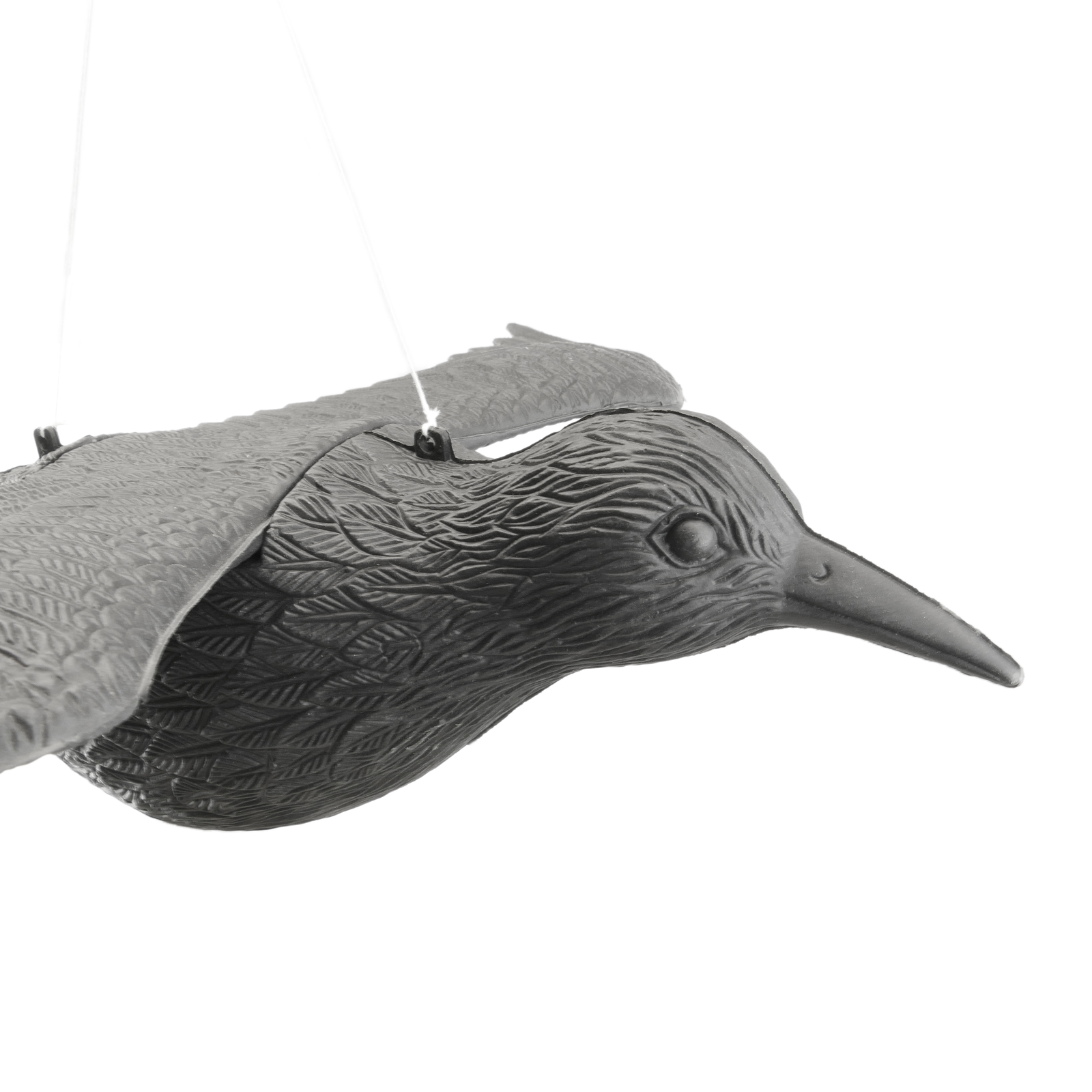 Ahuyentador De Aves Tipo Estatua Cuervo Volador 58 X 42 Cm_1