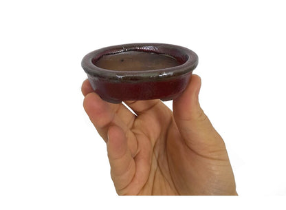 Tiesto Acento Mame Bonsai Vitrificado