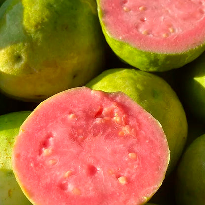 Caja De Guayabas Directas Del Agricultor | Tropitop Caja de 3kg_4