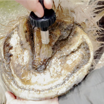 Loción Para Cascos 250 Ml