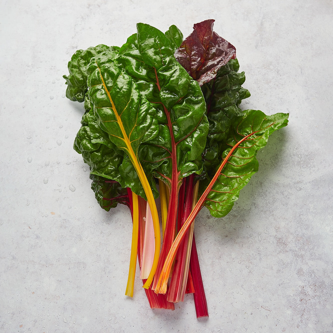 Mini Huerto Hortalizas Extrañas Acelga Arcoíris, Zanahoria Morada y Brócoli Rosa - Resetea_3