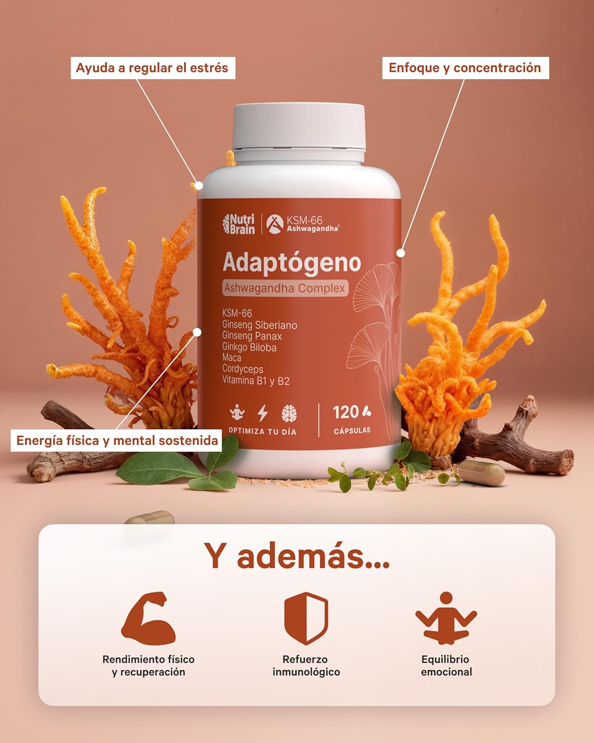 Ashwagandha Complex 8en1 Ksm-66 Ginseng Maca Nutribrain 120 Cápsulas_4
