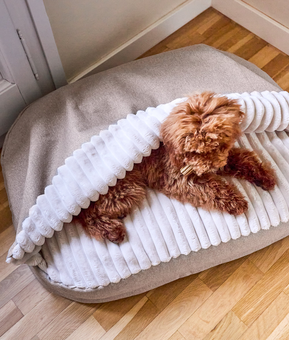 Cafide Cama Con Capucha Para Perro Con Tejido Chenilla Beige. Modelo Maso. Talla S (50x60x10 Cm)_1