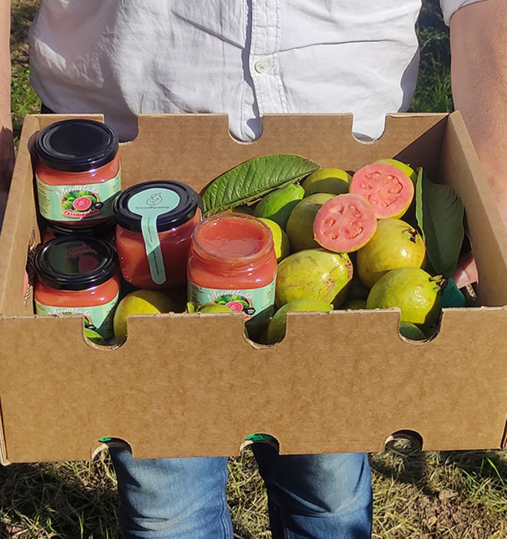 Mermelada De Guayaba Artesanal 4 Botes Tropitop_2