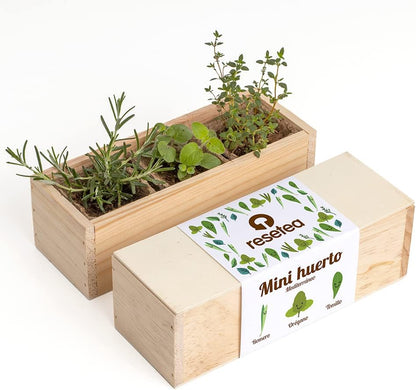 Mini Huerto Mediterráneo | Kit Cultivo Aromáticas (romero, Orégano Y Tomillo) | Huerto Urbano En Casa | Regalo Original_0