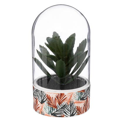 Planta ali Cloche H21cm_2
