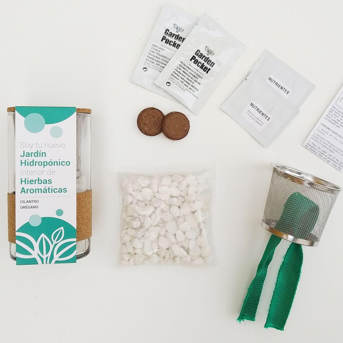 Cultivo hidropónico cilantro - orégano