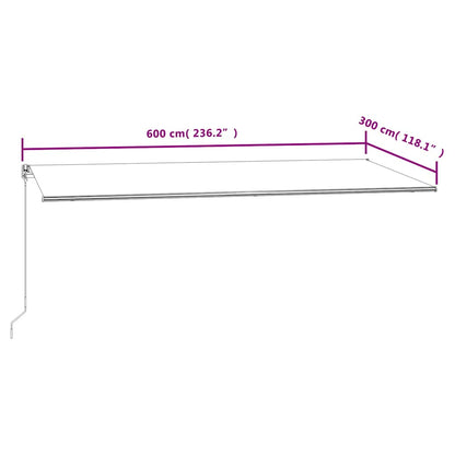 Vidaxl Toldo Automático Retráctil Azul Y Blanco 600x300 Cm_2