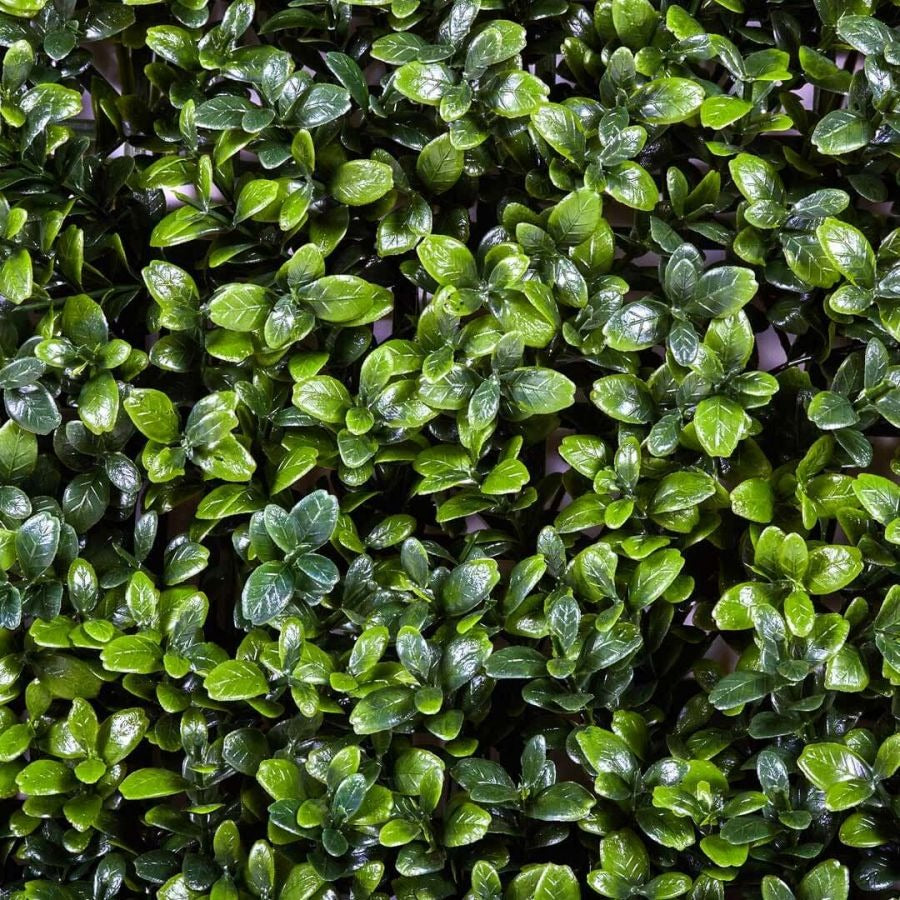 Jardín vertical artificial Buxus Nortene 1x1 m