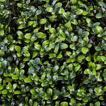 Jardín vertical artificial Buxus Nortene 1x1 m