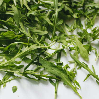 Maceta Rúcula 10,5 Cm - Plantabo_1