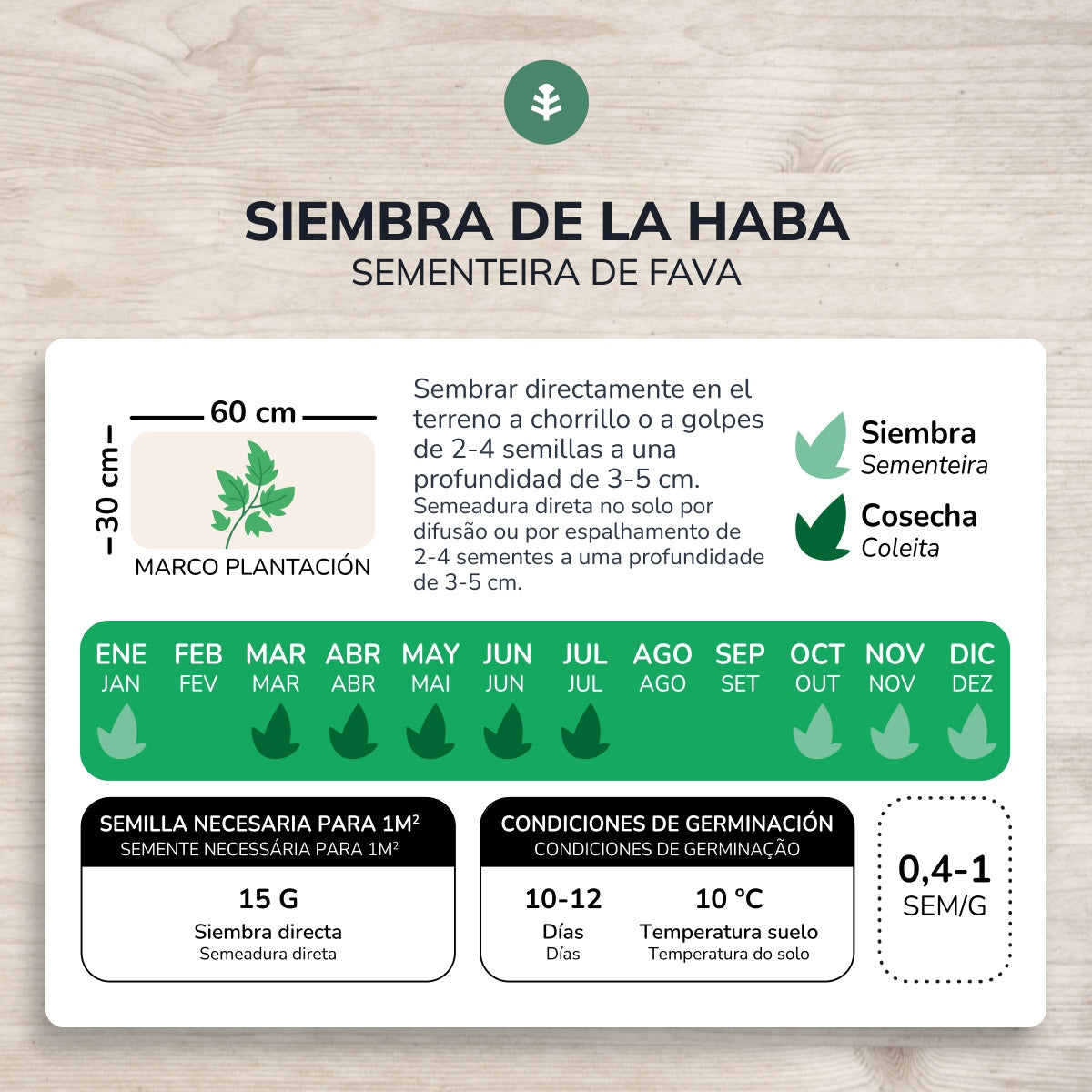 Semillas de Haba Aguadulce ecológicas Planeta Huerto