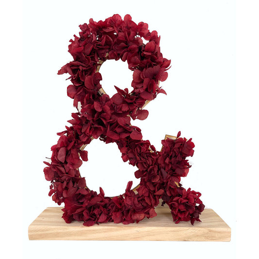 Mundo Eterno Letra Hortensia Roja Preservada 27x26cm_0