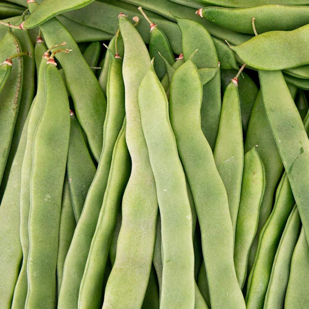 Judía Verde Helda 1.5kg Granada La Palma_4