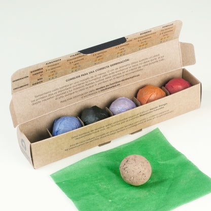 Pack 6 Bombas De Hierbas Aromáticas | Regalo Original Para Amantes De La Cocina_4
