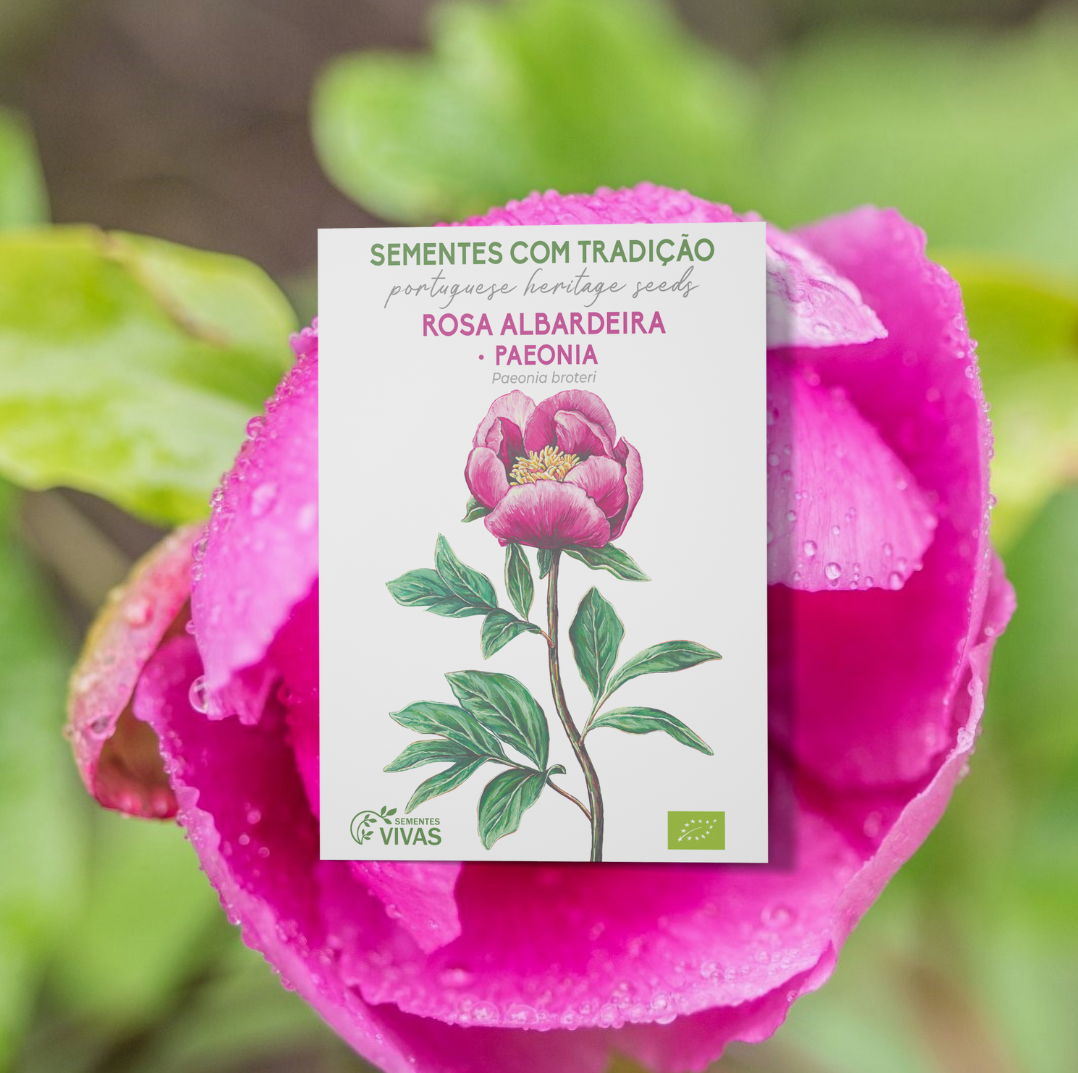 Semillas De Rosa Albardera Ecológicas