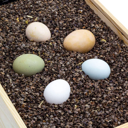 Cáscara De Trigo Sarraceno Para Nidos - Producto Natural Para Acolchar La Cama De Las Aves De Corral - 25L_1