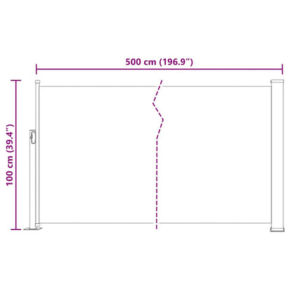 Vidaxl Toldo Lateral Retráctil De Jardín Negro 100x500 Cm_2