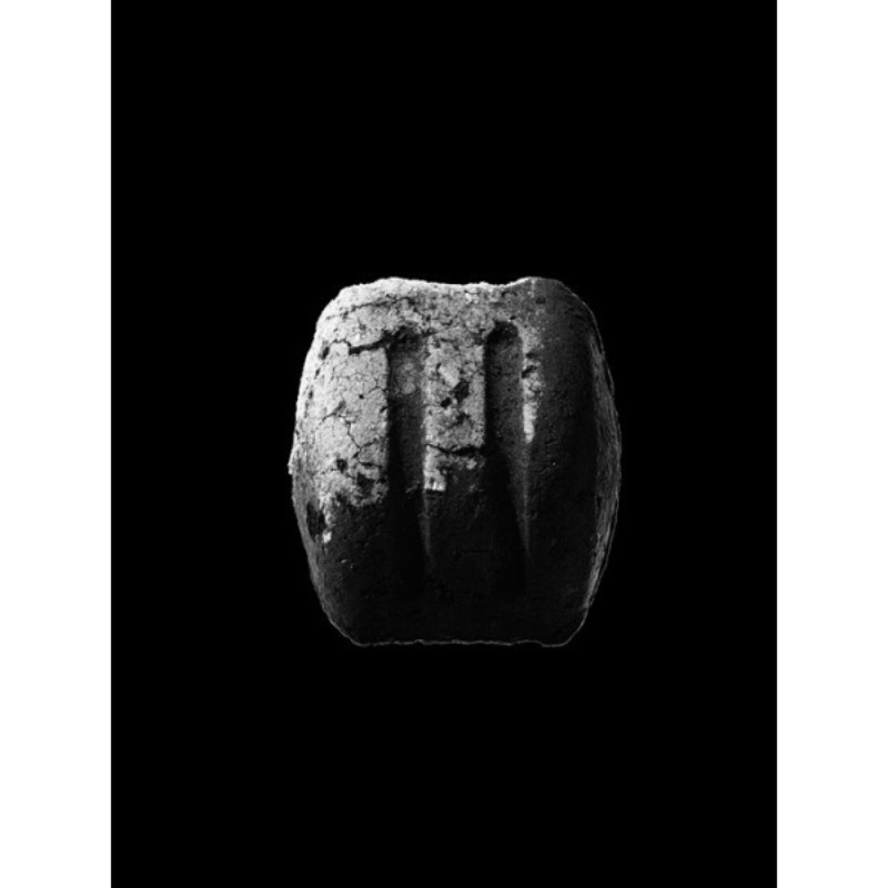 Saco De 8kg. De Briquetas Carbón Premium_2