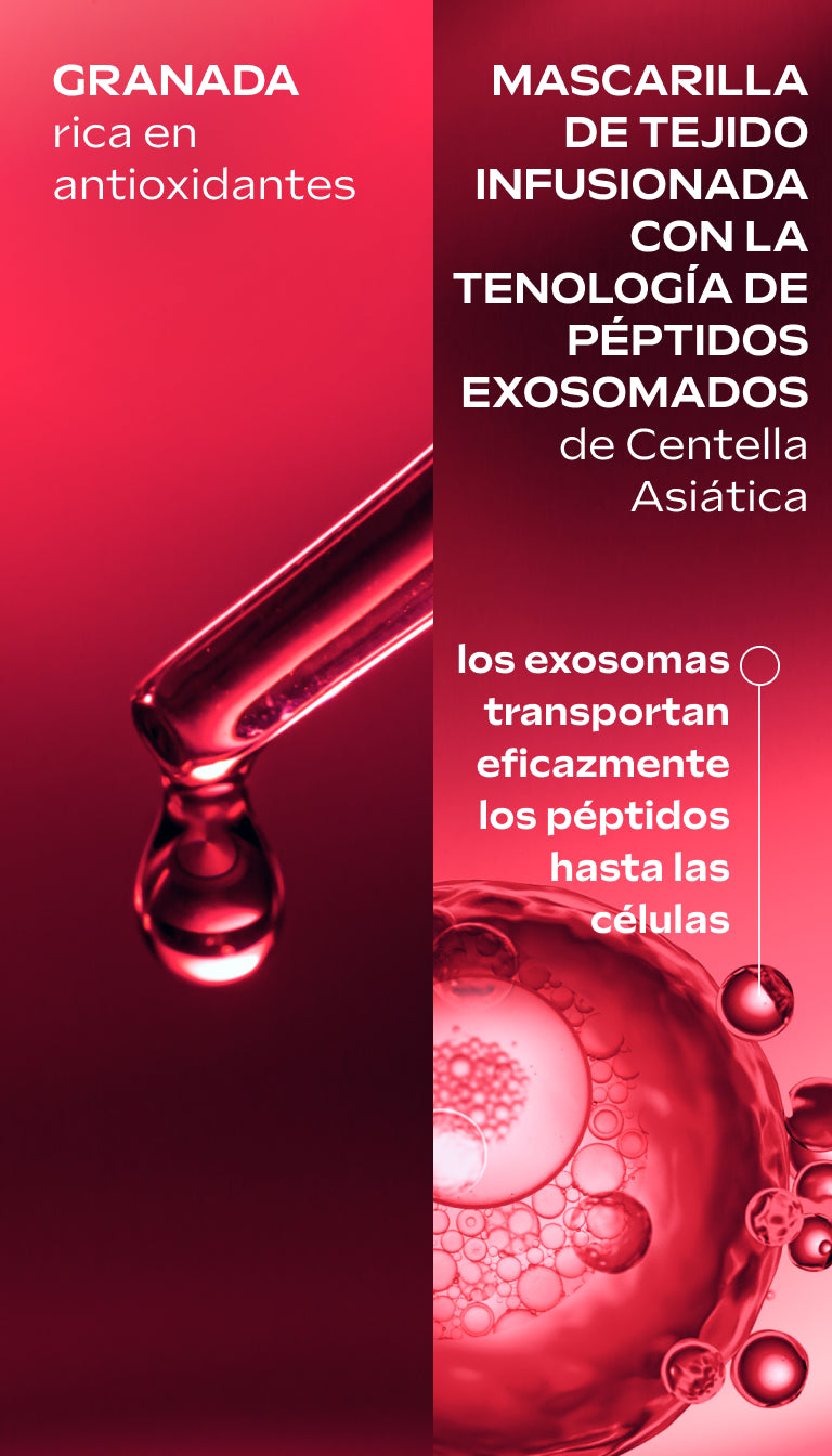 EXO Sheet Mask Reafirmante Weleda