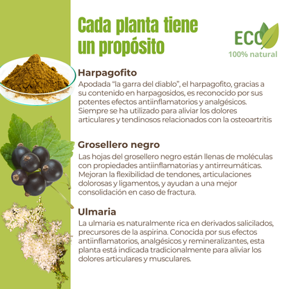 Suplemento natural para la movilidad articular de perros y gatos – ECO 100 g_2